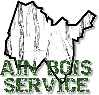 AIN BOIS SERVICE